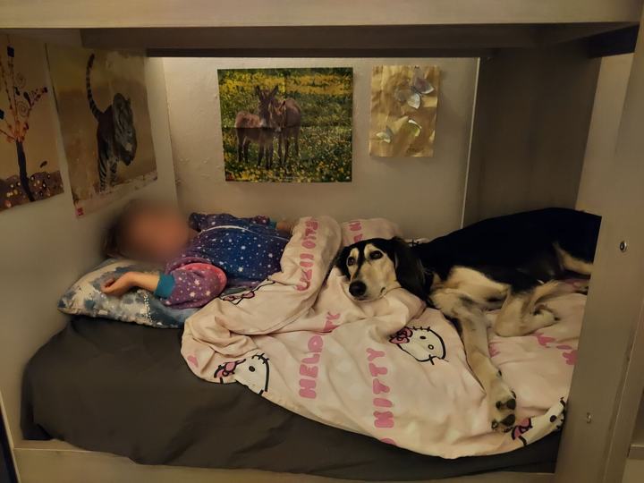 Sagi lying beside a child on a bed
