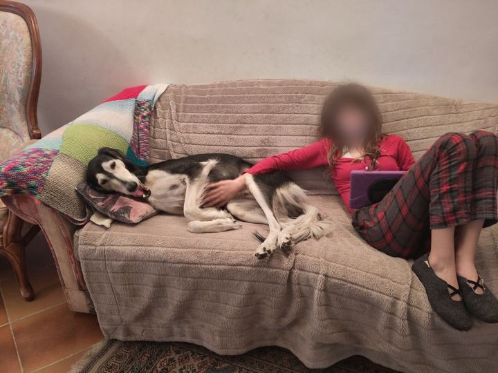 Sagi stretched along the sofa beside a girl