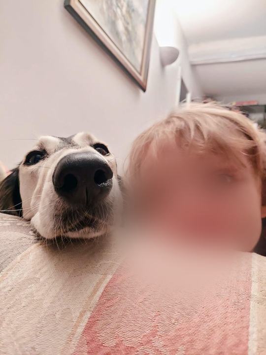 Sagi and a child peering over the back of the sofa at the camera